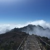 MIUT /Madeira Ultra Trail/ 2018 (PT)